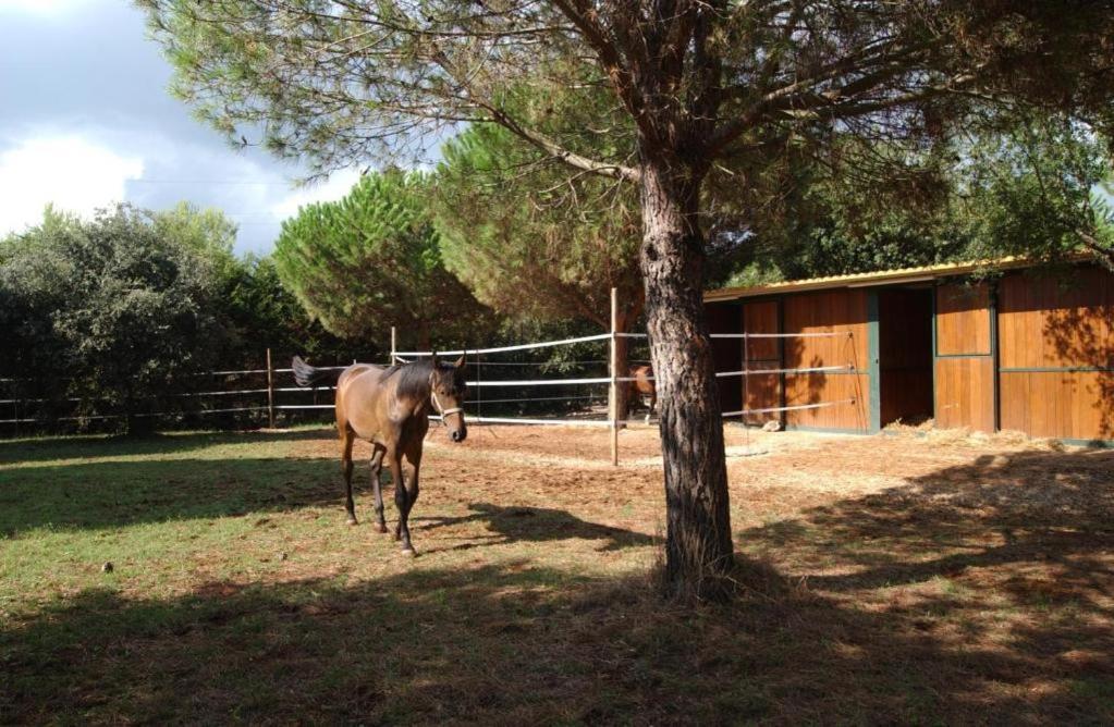 Tenuta Don Monaco - Agriturismo Santa Cesarea Terme Exteriér fotografie